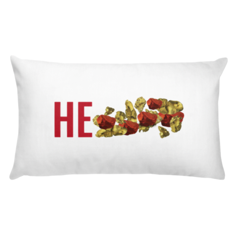  He Rocks Basic Pillow