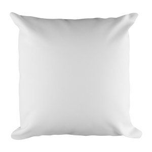 Square Pillow Case w/ stuffing
